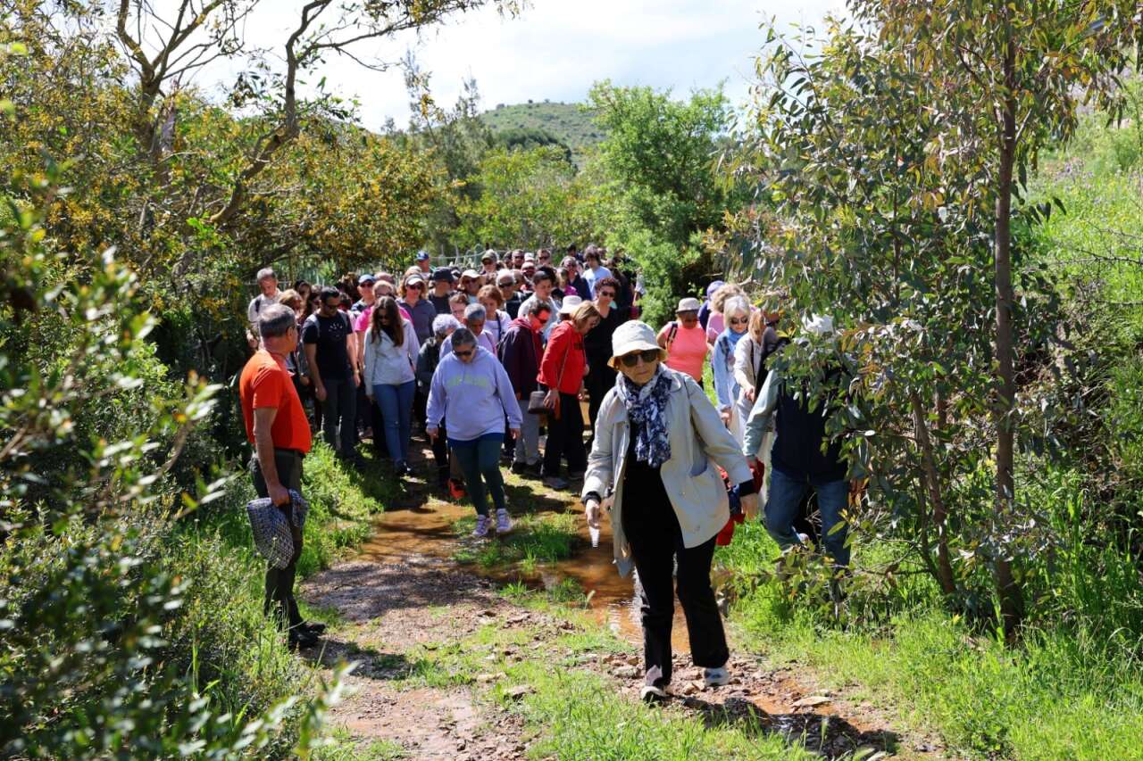 Bodrum’da Kültür Ve Doğa Yürüyüşleri Yoğun Katılımla Sürüyor 1